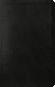 Title: ESV Reformation Study Bible, Condensed Edition - Black, Premium Leather, Author: R.C. Sproul