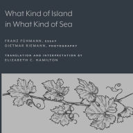 Title: What Kind of Island in What Kind of Sea?, Author: Franz Fühmann