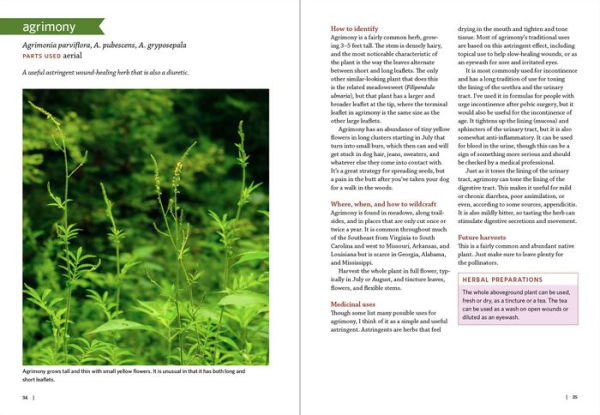 Southeast Medicinal Plants: Identify, Harvest, and Use 106 Wild Herbs for Health and Wellness