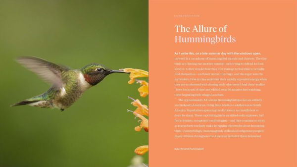 The Hummingbird Handbook: Everything You Need to Know about These Fascinating Birds