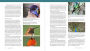 Alternative view 2 of The Hummingbird Handbook: Everything You Need to Know about These Fascinating Birds
