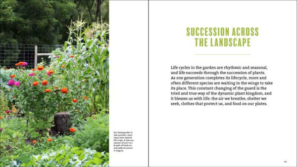 Plant Grow Harvest Repeat: Grow a Bounty of Vegetables, Fruits, and Flowers by Mastering the Art of Succession Planting