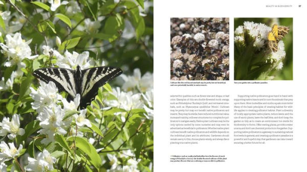 The Pacific Northwest Native Plant Primer: 225 Plants for an Earth-Friendly Garden