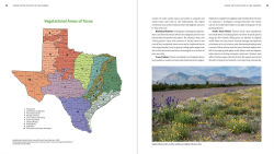 Alternative view 6 of The Texas Native Plant Primer: 225 Plants for an Earth-Friendly Garden