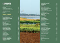 Alternative view 3 of Birds of Texas: A Timber Press Field Guide