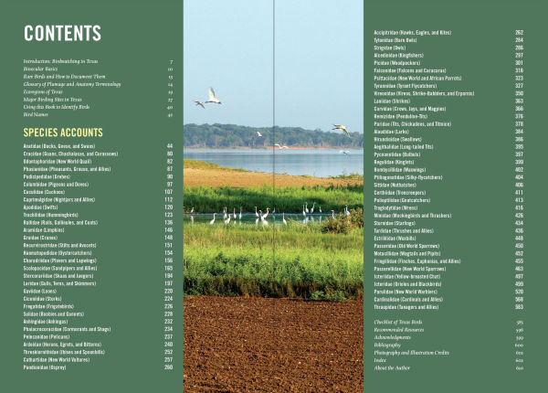 Birds of Texas: A Timber Press Field Guide