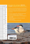 Alternative view 7 of Birds of Texas: A Timber Press Field Guide