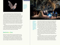 Alternative view 5 of Nature at Night: Discover the Hidden World That Comes Alive after Dark