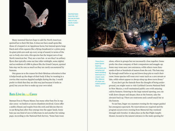 Nature at Night: Discover the Hidden World That Comes Alive after Dark
