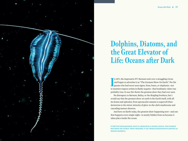 Nature at Night: Discover the Hidden World That Comes Alive after Dark