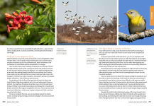 Alternative view 2 of Wild NYC: Experience the Amazing Nature in and around New York City