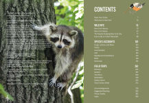 Alternative view 3 of Wild NYC: Experience the Amazing Nature in and around New York City