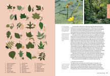 Alternative view 5 of Wild NYC: Experience the Amazing Nature in and around New York City