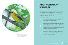 Alternative view 2 of Birds of the Great Lakes