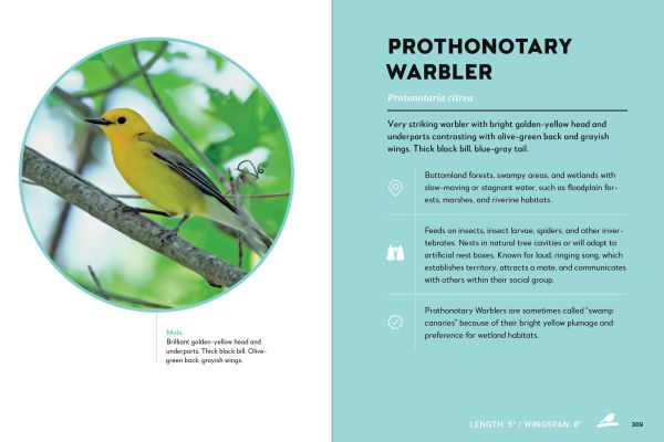 Birds of the Great Lakes