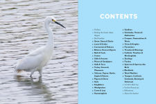Alternative view 3 of Birds of the Great Lakes