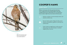 Alternative view 5 of Birds of the Great Lakes