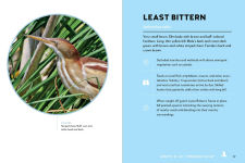 Alternative view 6 of Birds of the Great Lakes