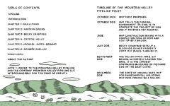 Alternative view 6 of Holler: A Graphic Memoir of Rural Resistance