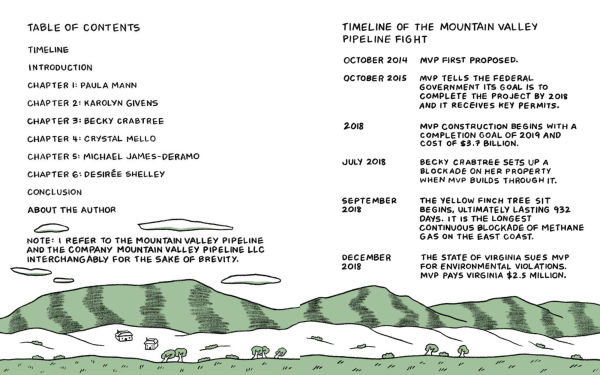 Holler: A Graphic Memoir of Rural Resistance
