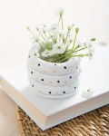 Alternative view 6 of Artisan Air-Dry Clay: The Beginner's Guide to Easy, Inexpensive & Stylish No-Kiln Pottery