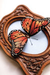 Alternative view 4 of Stumpwork Embroidery & Thread Painting: Stitch 3-D Nature Motifs
