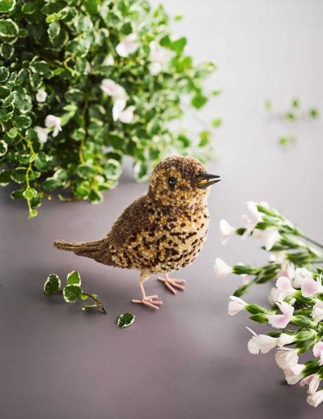 Pom-Pom Birds: Craft an Artisan Yarn Flock