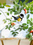 Alternative view 4 of Pom-Pom Birds: Craft an Artisan Yarn Flock