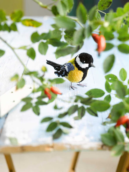 Pom-Pom Birds: Craft an Artisan Yarn Flock