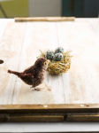 Alternative view 5 of Pom-Pom Birds: Craft an Artisan Yarn Flock