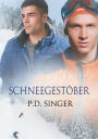 Schneegestöber
