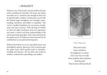 Alternative view 4 of The Tree Angel Oracle Deck: The Ancient Path into the Sacred Grove