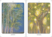 Alternative view 8 of The Tree Angel Oracle Deck: The Ancient Path into the Sacred Grove