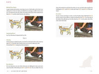 Alternative view 5 of Jin Shin for Cats and Dogs: Healing Touch for Your Animal Companions