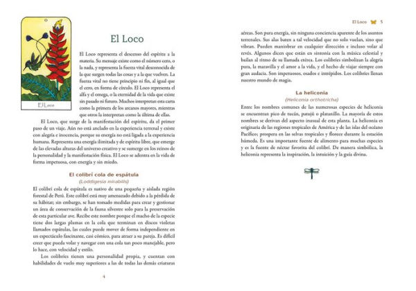 Tarot de los espíritus de la naturaleza: Un mazo de 78 cartas y un libro para el viaje del alma