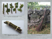 Alternative view 3 of Living Wands of the Druids: Harvesting, Crafting, and Casting with Magical Tools