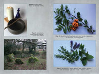 Alternative view 4 of Living Wands of the Druids: Harvesting, Crafting, and Casting with Magical Tools