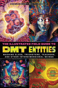 Title: The Illustrated Field Guide to DMT Entities: Machine Elves, Tricksters, Teachers, and Other Interdimensional Beings, Author: David Jay Brown