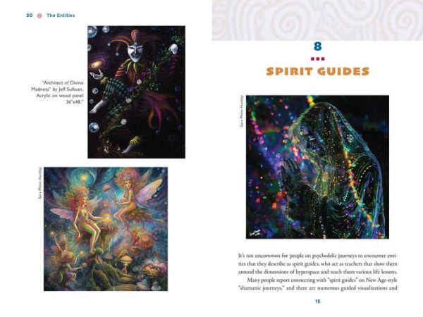 The Illustrated Field Guide to DMT Entities: Machine Elves, Tricksters, Teachers, and Other Interdimensional Beings