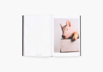 Alternative view 11 of Heji Shin: THE BIG NUDES