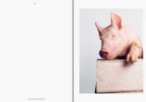 Alternative view 2 of Heji Shin: THE BIG NUDES