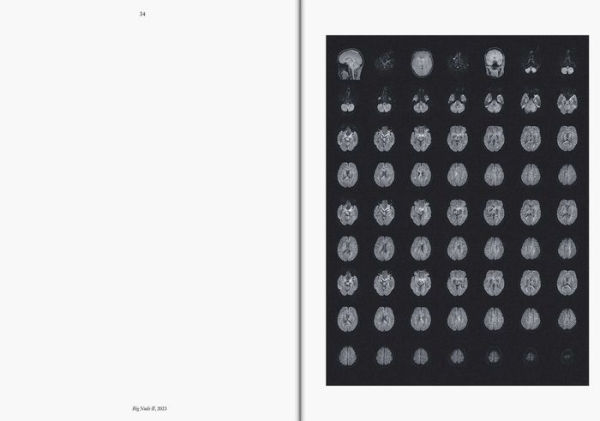 Heji Shin: THE BIG NUDES