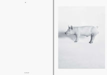 Alternative view 4 of Heji Shin: THE BIG NUDES