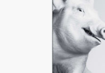 Alternative view 5 of Heji Shin: THE BIG NUDES