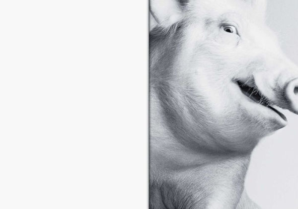 Heji Shin: THE BIG NUDES