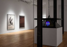 Alternative view 6 of Heji Shin: THE BIG NUDES