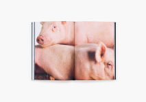 Alternative view 8 of Heji Shin: THE BIG NUDES
