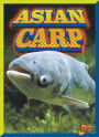 Asian Carp