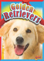 Golden Retrievers
