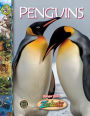 Penguins